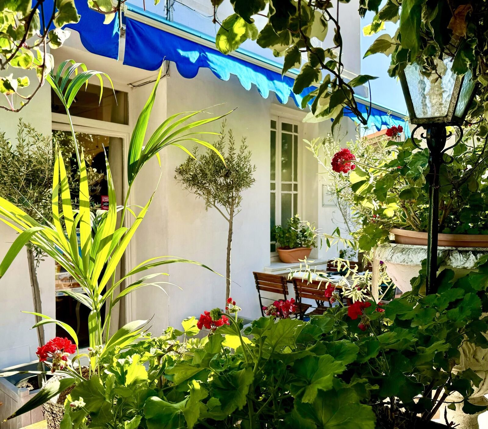 La terrazza davanti, sotto i platani